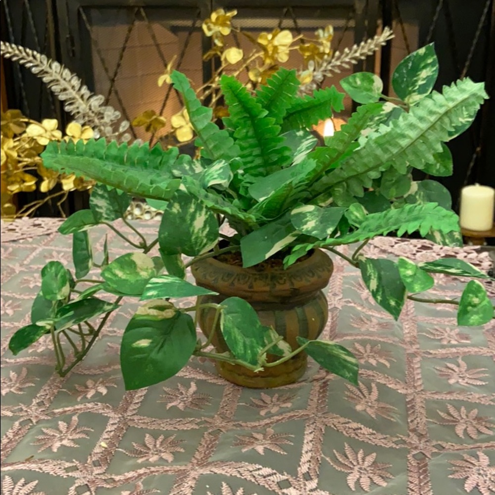 Fake green house plant.